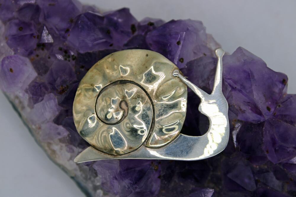 Far Fetched Sterling Silver and Brass Mixed Snail Brooch